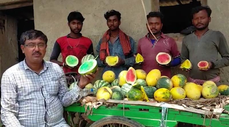 তরমুজেই মিলছে স্ট্রবেরি ও আনারসের স্বাদ! অভিনব আবিষ্কারে তাক লাগালেন বর্ধমানের কৃষক