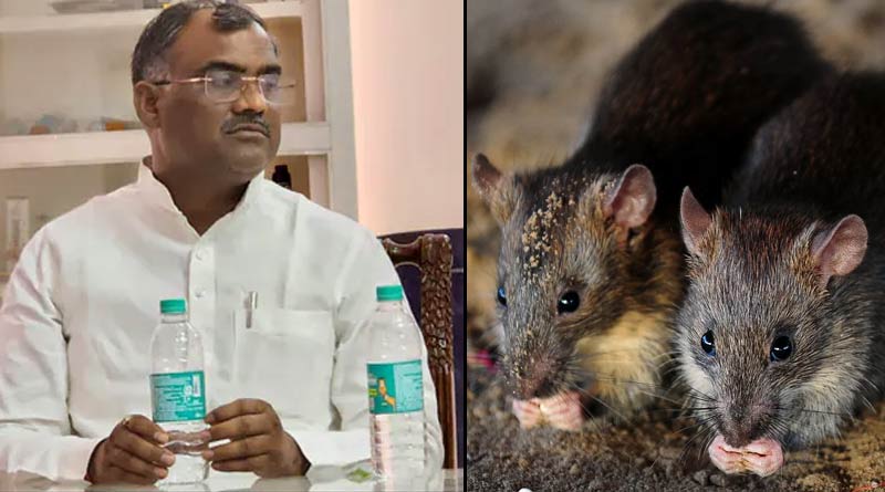 সার্কিট হাউসে উত্তরপ্রদেশের মন্ত্রীকে ইঁদুরের কামড়! ভরতি হাসপাতালে
