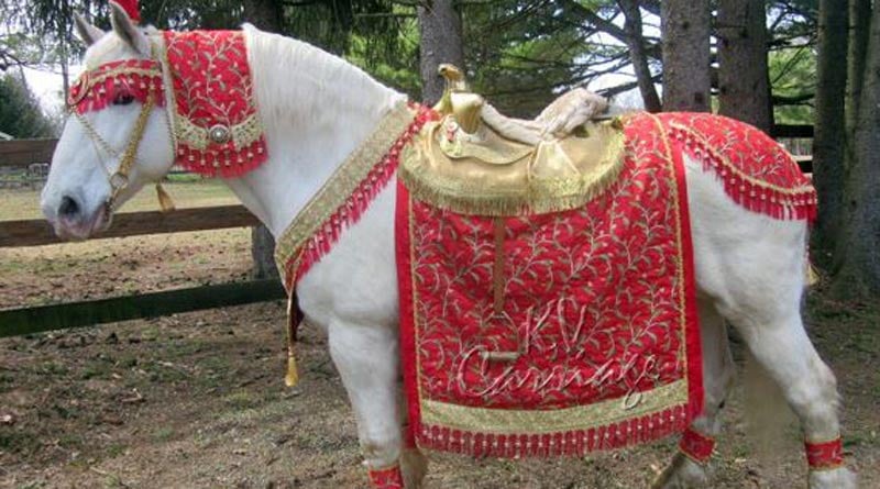Dalit groom forced to get down from horse in Uttarakhand। Sangbad Pratidin