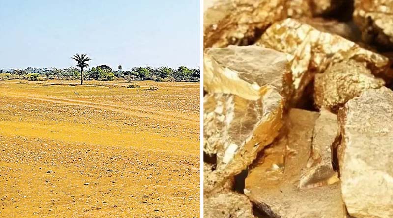 Bihar accords permission to explore 'country's largest' gold reserve in Jamui district | Sangbad Pratidin