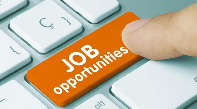 India added 8.8 million new jobs in April report of CMIE | Sangbad Pratidin
