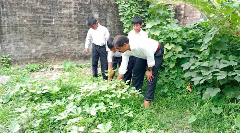 Hooghly's school teacher creates mid day meal kitchen & garden । Sangbad Pratidin