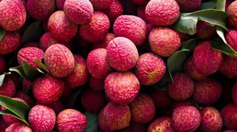 Red dye used to colour Lichi, it affects liver and Kidney । Sangbad Pratidin