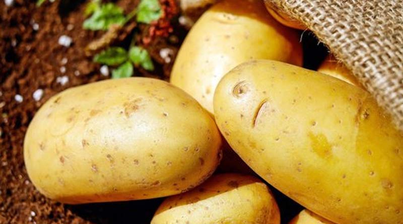 Himalini is sold as Chandramukhi, people buying fake potato | Sangbad Pratidin