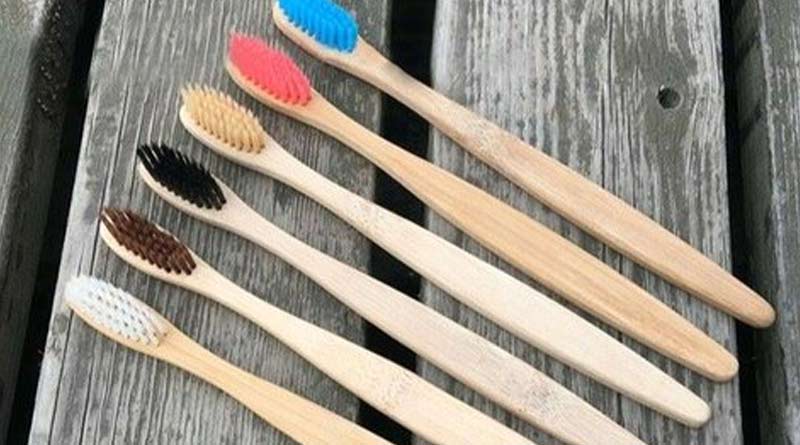 Bamboo toothbrush to curb pollution । Sangbad Pratidin