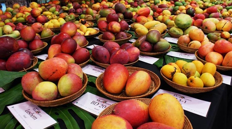 Mango festival will be started in Kolkata from Thursday | Sangbad Pratidin