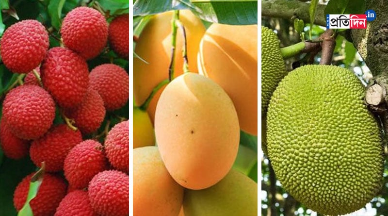 Be aware before eating too much fruits like Mango, Lychee, Jackfruit | Sangbad Pratidin