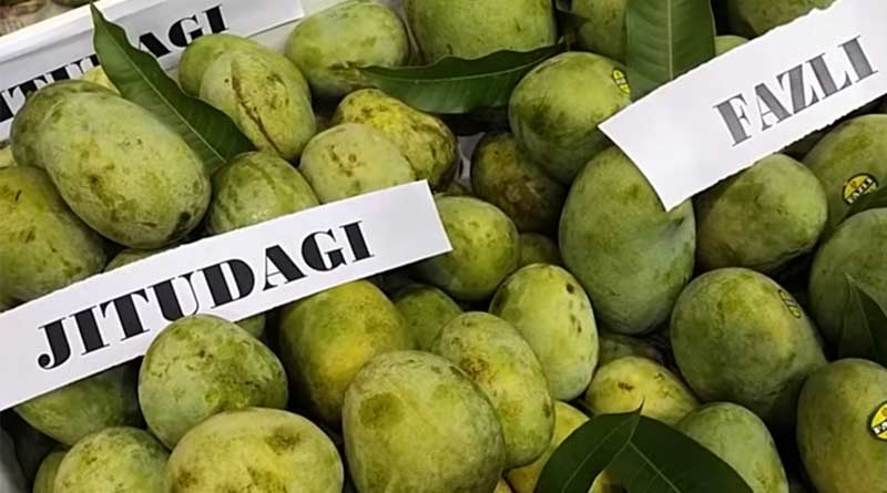 Record sell in Mango festival at Kolkata | Sangbad Pratidin