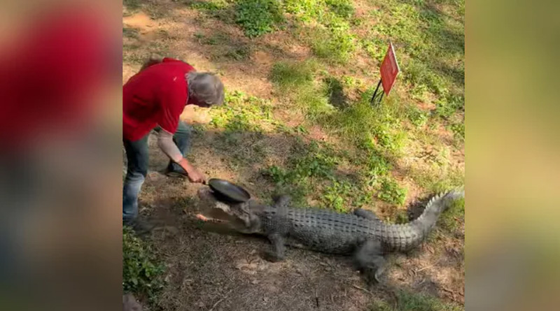 Australian Pub Owner Fights Off Crocodile With A Frying Pan | Sangbad Pratidin