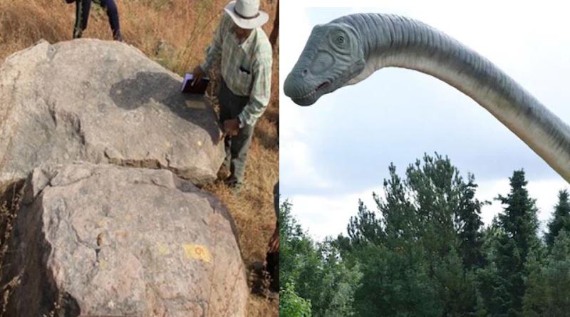 Researchers find dinosaur eggs in Madhya Pradesh। Sangbad Pratidin