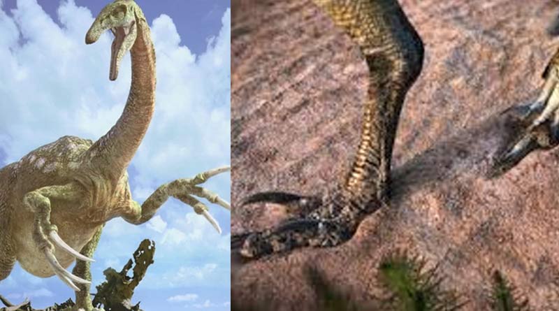 Dinosaurs used claws for purpose other than hunting, says new research | Sangbad Pratidin