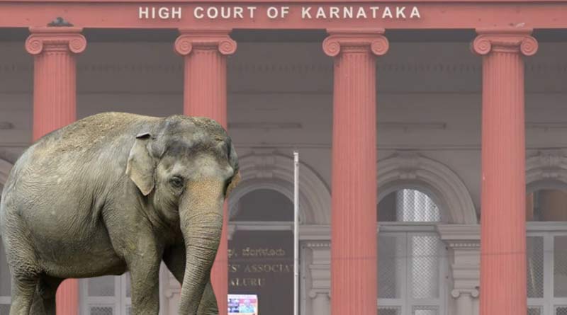 No restriction for elephant adoption for non-commercial purposes, says Karnata High Court | Sangbad Pratidin