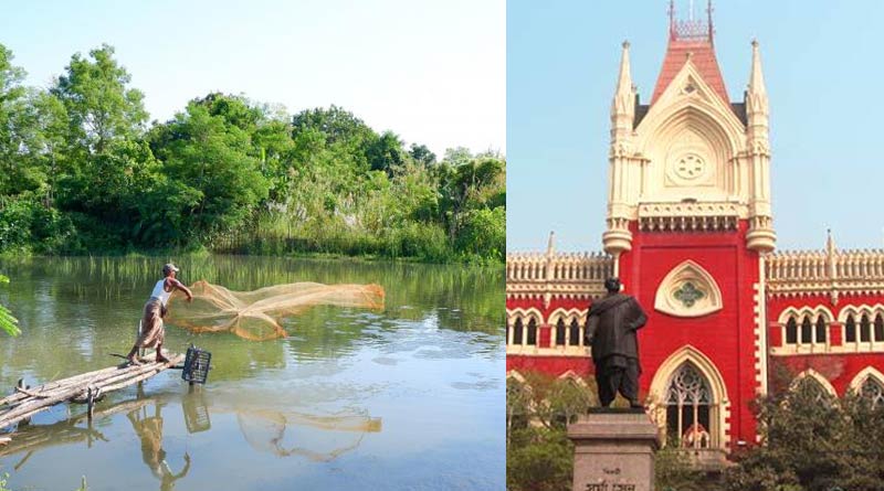 Calcutta High Court rejects conversion of farm land into fishery | Sangbad Pratidin