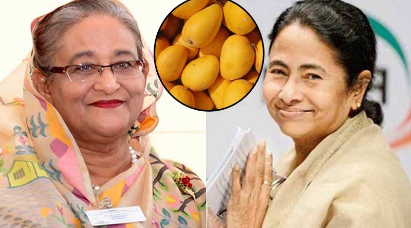 Mango diplomacy! representatives of Bengal CM receive mangoes sent by Bangladesh PM Sheikh | Sangbad Pratidin