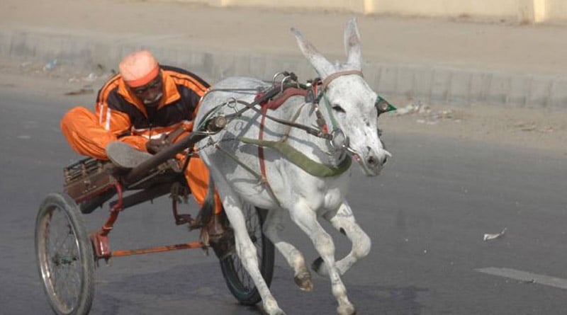 Pak man seeks permission to ride to donkey cart। Sangbad Pratidin