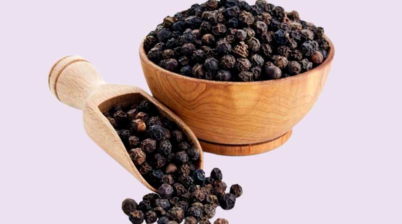 Black pepper cultivated on coconut garden, gains massive profit । Sangbad Pratidin