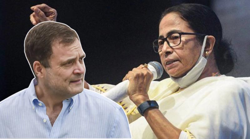 Mamata Banerjee stood besides Rahul Gandhi after his MP post removal | Sangbad Pratidin