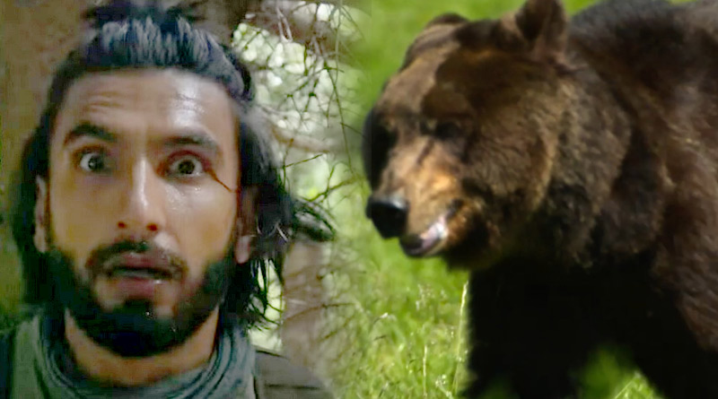 Ranveer Singh gets chased by bear on Netflix's Ranveer vs Wild with Bear Grylls | Sangbad Pratidin