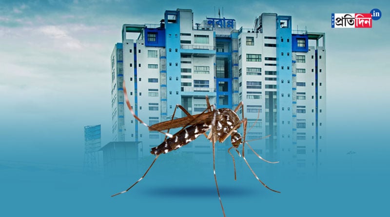 Dengue menace in Kolkata | Sangbad Pratidin
