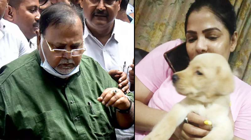 Former minister Partha Chatterjee's pet dogs are fine now । Sangbad Pratidin