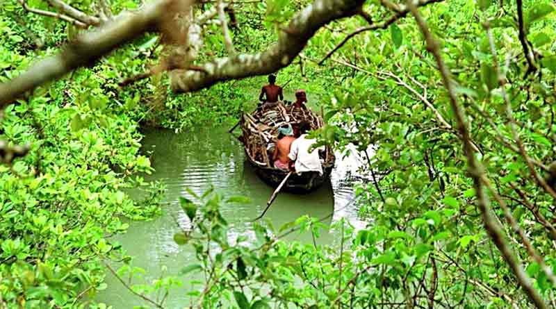 সুন্দরবনে বেড়াতে যাওয়াই কাল, গোমর নদীতে নৌকা থেকে নিখোঁজ পর্যটক
