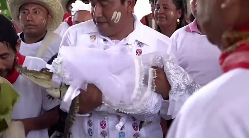 Mexico mayor married a crocodile, followed tradition | Sangbad Pratidin