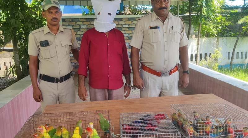 International smuggling racket caught in Basanti Highway, 25 birds rescued | Sangbad Pratidin