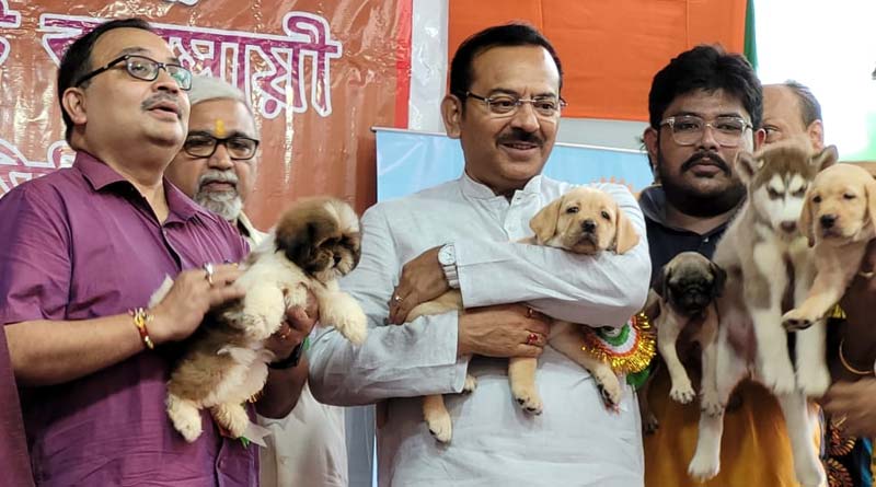 WB Minister Aroop Biswas proposes pet market like Galiff Street in South Kolkata | Sangbad Pratidin