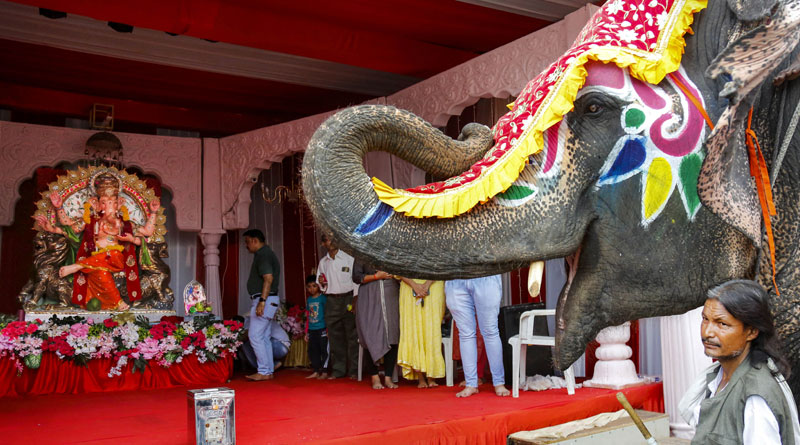কলকাতা থেকে মুম্বই, গণপতির আরাধনায় মেতেছে গোটা দেশ, দেখুন উৎসবের নানা ছবি