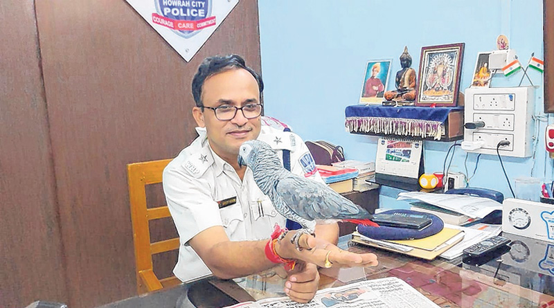 African Parrot rescued from Bardhaman through social media | Sangbad Pratidin
