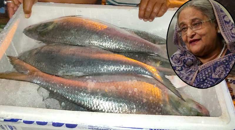 Hilsa Fishes imported in Bengal on the first day of Sheikh Hasina's visit