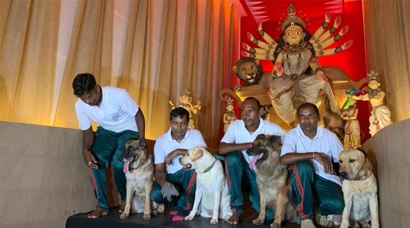 Kolkata Puja committee made pet friendly puja pandal, dog squad inaugurated | Sangbad Pratidin