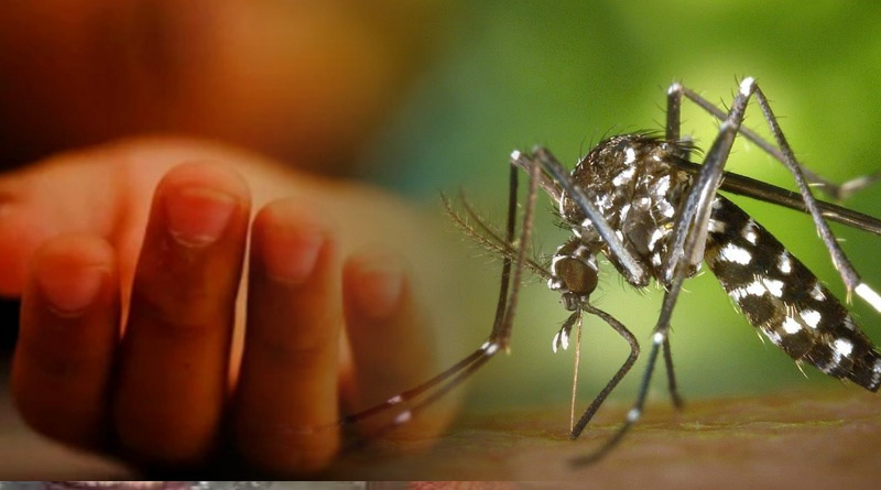 Child dies of dengue in Siliguri Hospital | Sangbad Pratidin