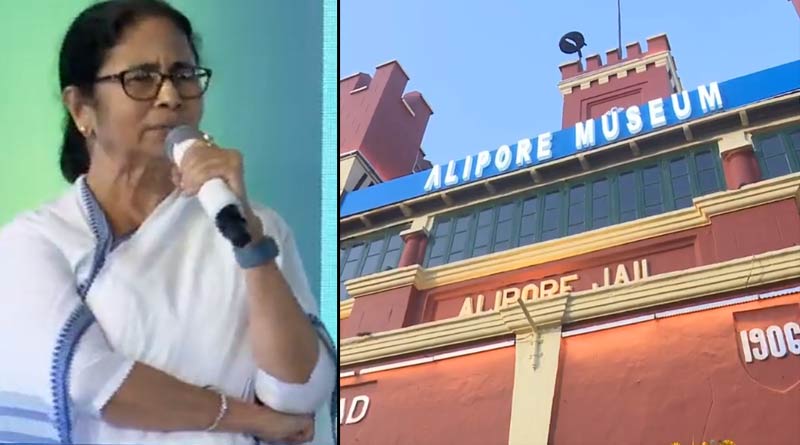 Mamata Banerjee: রাজনৈতিক স্বার্থে ইতিহাস ‘বিকৃতি’র অভিযোগ, নাম না করে ফের কেন্দ্রকে খোঁচা মুখ্যমন্ত্রীর