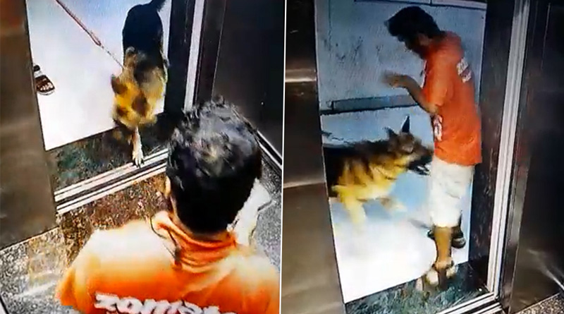 Zomato delivery guy gets bitten by dog on private part in Mumbai | Sangbad Pratidin