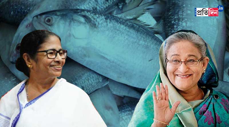 ‘তিস্তার জল না পেলে ইলিশও দেব না’, ঠাট্টার ছলে মমতাকে বার্তা হাসিনার!
