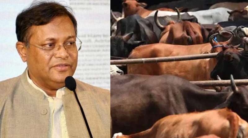 Cattle Smuggling: 'No need to import cattle from foreign country', says Bangladesh Information Minister Dr H Mahmud | Sangbad Pratidin