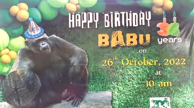 Babu-Birth-Day