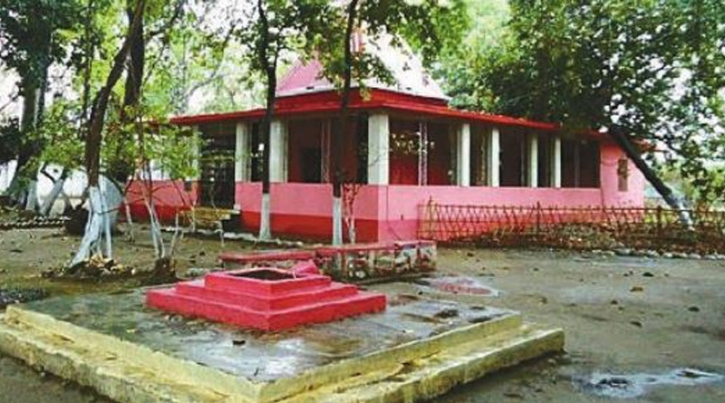 মায়ের প্রিয় শোল, বোয়াল! কালী মাকে খুশি করতে দেবী চৌধুরানীর শ্মশানকালীর ভোগে মাছ নিবেদন