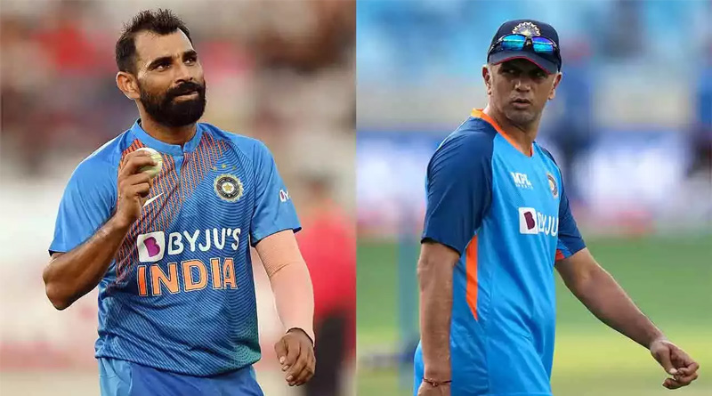 Is Mohammed Shami to replace Jasprit Bumrah? Head Coach Rahul Dravid opens up | Sangbad Pratidin