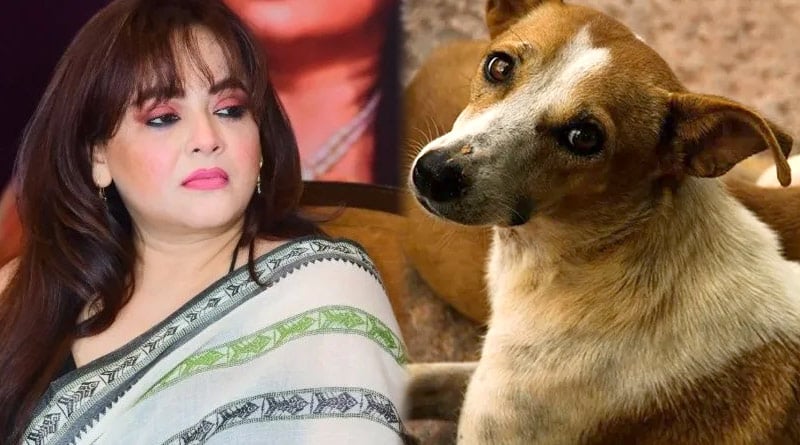 Sreelekha Mitra won't tolerate any kind of cruelty on animals during Diwali 2022 | Sangbad Pratidin