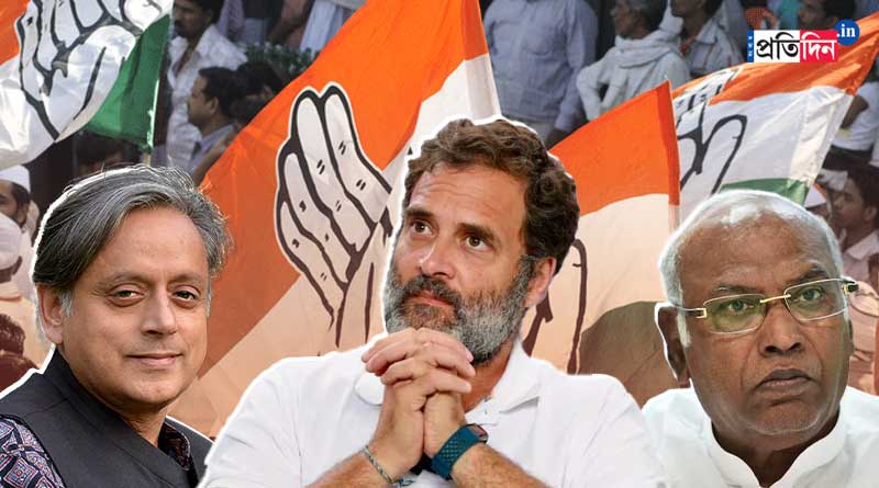 Congress President poll: Voters cast vote in favour of Rahul Gandhi!