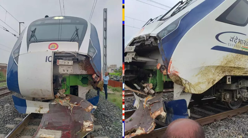 বন্দে ভারত এক্সপ্রেসে দুর্ঘটনার জের, মোষ মালিকের বিরুদ্ধে মামলা RPF-এর