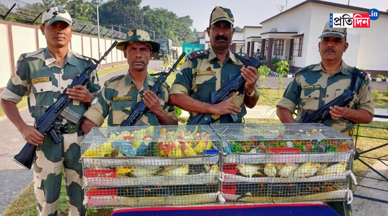 ভারত-বাংলাদেশ সীমান্তে পাচারের ছক, উদ্ধার কোটি টাকার বিরল প্রজাতির পাখি