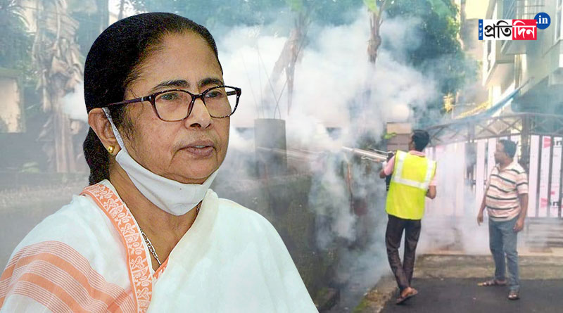 Number of dengue patients has decreased, says CM Mamata Banerjee | Sangbad Pratidin