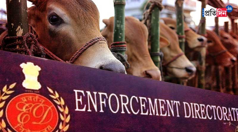 ED summons 5 IPS officers on cattle smuggling case | Sangbad Pratidin