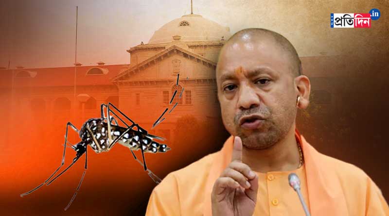 লখনউয়ে ভয়াবহ আকার নিয়েছে ডেঙ্গু, হাই কোর্টের তোপের মুখে যোগী প্রশাসন