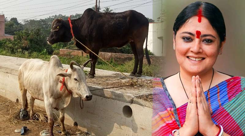 BJP MLA Agnimitra Paul stops cattle smuggling | Sangbad Pratidin