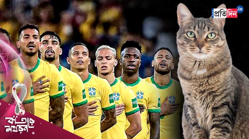 FIFA World Cup: Curse of Cat may cost Brazil against Croatia | Sangbad Pratidin