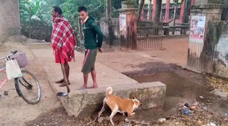 Mother's love! Dog searches for puppies missing in water | Sangbad Pratidin